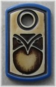 Wise Owl