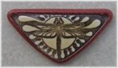 Small Triangle Dragonfly